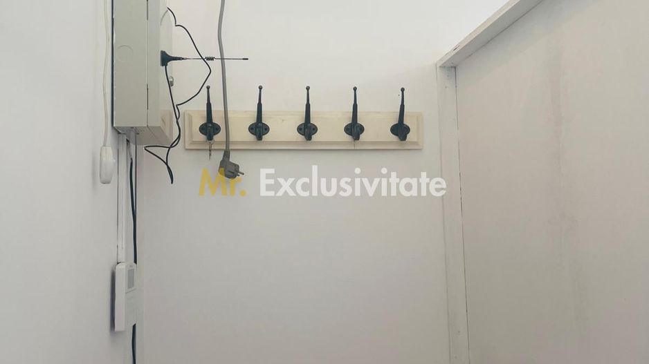 Spatiu stradal, central, cu vad comercial si vizibilitate excelenta - Poză 13