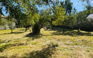 TEREN INTRAVILAN 3234 MP LEREȘTI VOINEȘTI ARGEȘ - Poză 12