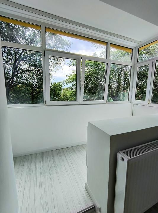 Ion Mihalache- Pta Chibrit- Calea Grivitei - Poză 8