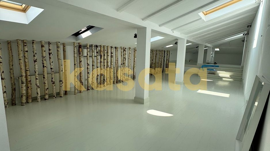 Închiriere vilă interbelică, Piata Victoriei,  renovată complet - Poză 11