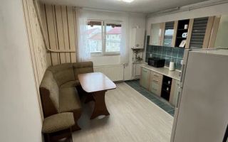 Apartament 2 camere | 40MPU | Pet Friendly | Terezian | Mansarda - Poză 1