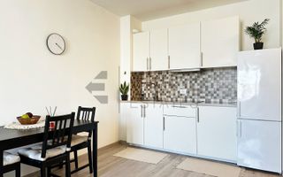 Apartament cu 2 camere de vanzare in Prima Universitatii - Poză 11