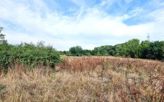 Teren de vânzare – 11.273 mp – zona Plopi, Timișoara Sud. - Poză 3