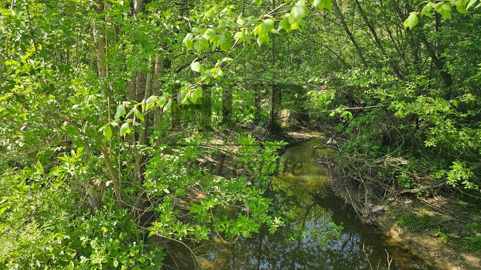 Teren intravilan | langa padure si parau | Luncani/Bacau - Poză 3