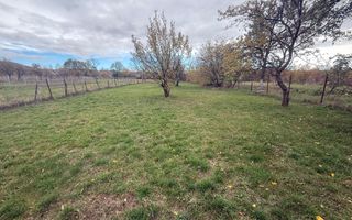 Teren intravilan împrejmuit 2331 mp la strada, toate utilitățile! - Poză 5