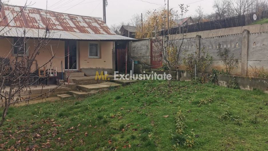 De vanzare casa in Argetoaia cu teren 7.000 mp - Poză 1