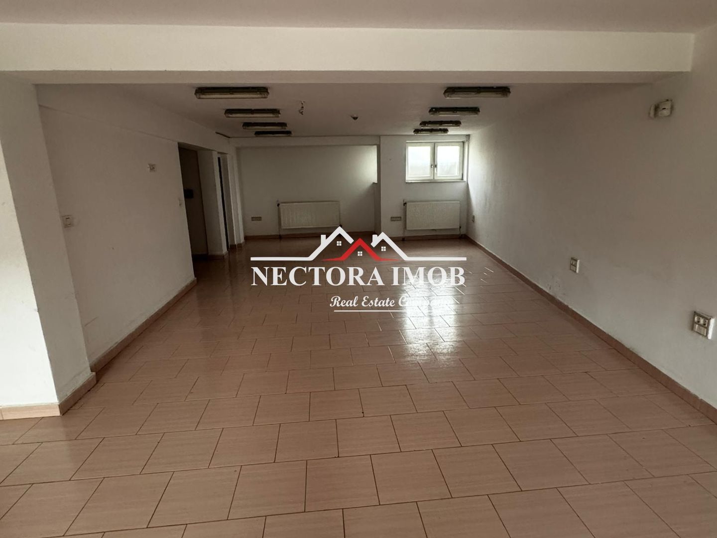 NECTORA IMOB-Spatiu comercial 125 mp, Str. Mestesugarilor, Parter+Demi - Poză 6