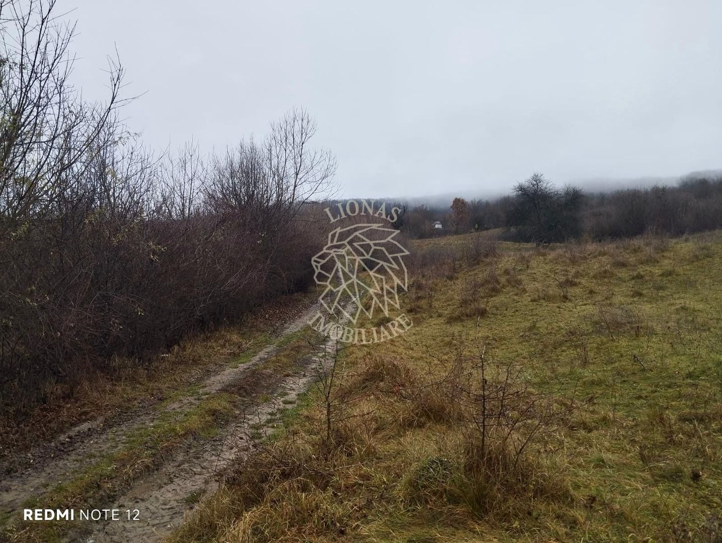 Teren 1000 mp-ideal casa de vacanta, investitie-Zona Valea Budacului - Poză 1