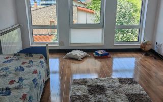 Casa individuala 240 utili, 850 teren, 2 garaje, zona Eugen Ionesco - Poză 8