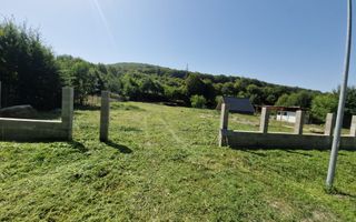 Teren extravilan 2.300 mp – Cârțișoara, județul Sibiu - Poză 2