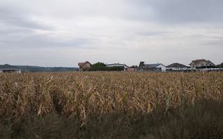 Teren de vanzare,2000mp,Cheriu-Bihor - Poză 1