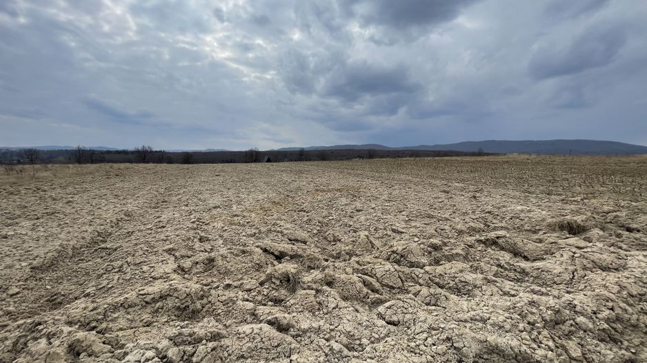 TEREN EXTRAVILAN | 23 ARI | HORODNIC DE SUS - Poză 3