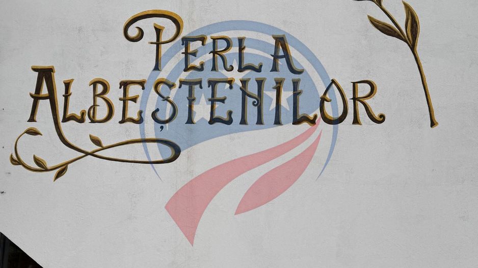 AFACERE FUNCTIONALA SALA EVENIMENTE SI PISCINA - Poză 17