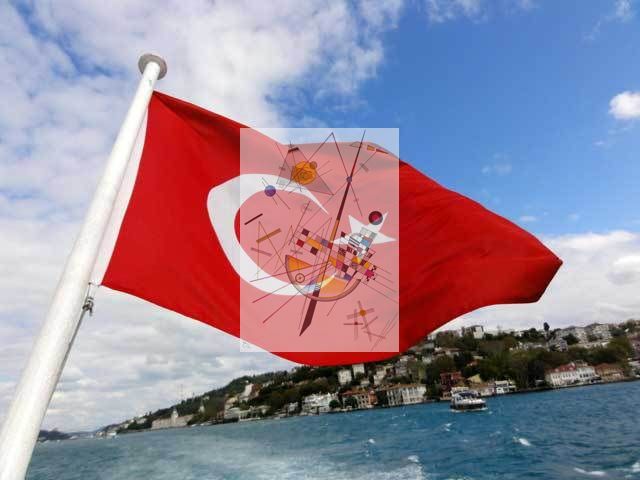 Aurel Vlaicos - Poză 3