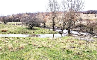 Terenuri extravilane de vânzare – Vizma & Crivobara, comuna Secaș, jud. Timiș - Poză 3