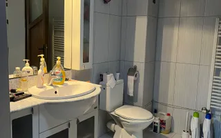 Vila S+P+1+M Lapus, str Paunitei - Poză 44