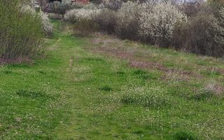 Teren Topoloveni - 3670 mp - langa padure, aproape de Centrul orasului  - Poză 3
