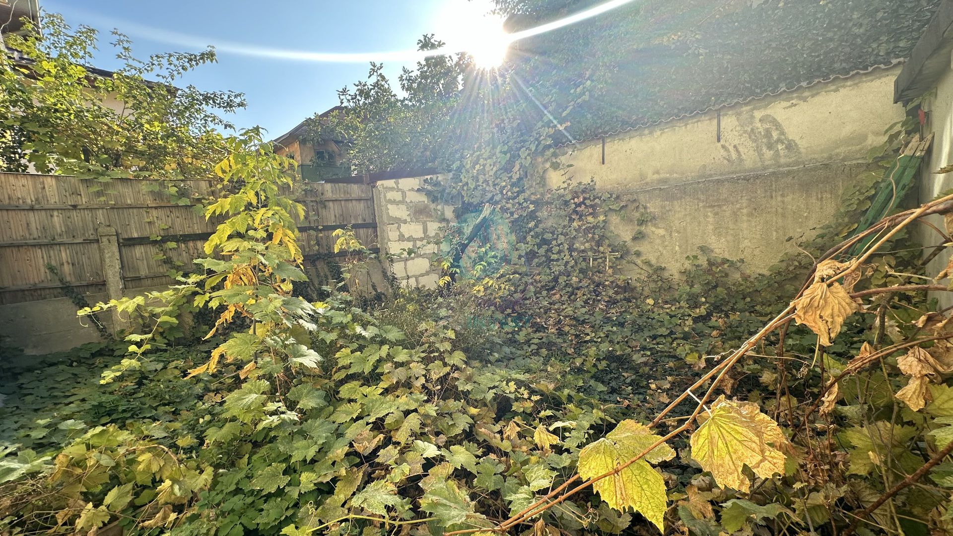 Vila boema in VATRA LUMINOASA - Poză 15