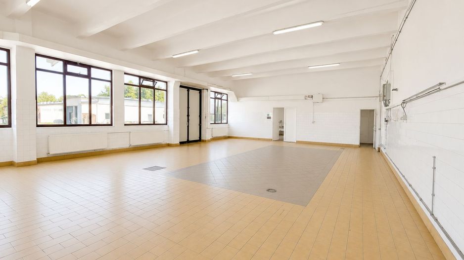 De inchiriat hală Freidorf | depozite frigorifice | Acces centura - Poză 1