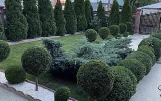 Vilă de lux de închiriat – ideală pentru afaceri - Poză 4