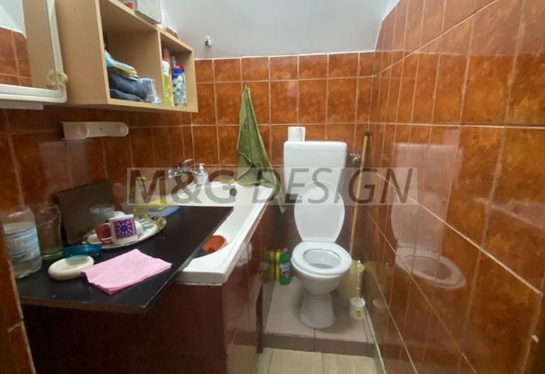 OPORTUNITATE INVESTITIE! Casa Buziasului - Poză 9