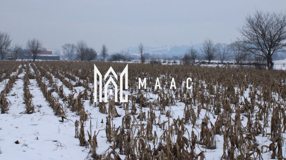 Ferma de Vânzare – Oportunitate Unică! - Poză 31