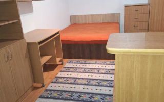Garsoniera renovata 25 mp Gara 330 euro - Poză 1