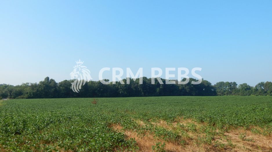 Teren cu PUZ de vanzare in Grigorescu - Poză 3