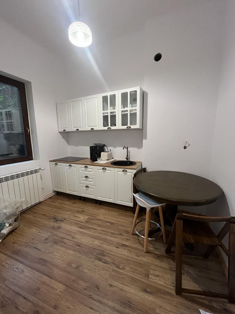 Ag BRASADAS vinde vila 8 camere Parcul Carol - Poză 3