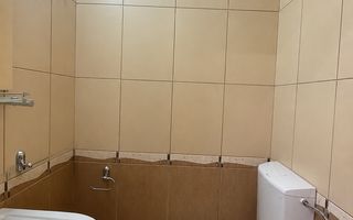 Apartament sau spatiu de birou 36mp pod si beci ultracentral - Poză 3