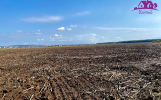 Teren pentru investitii zona Grigorescu - Poză 1