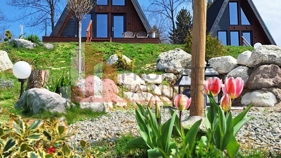 2  A-Frame | Bran Sohodol| 2 cabane | Teren 3.812 mp | Operațional | - Poză 10