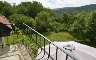 Casa renovata la tara complet -mobilata si utilata - Poză 17