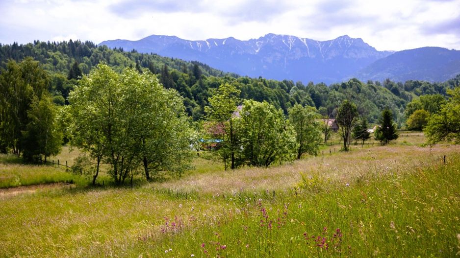 Teren intravilan - 1.050 mp în Bran cu utilitati – priveliște Bucegi - Poză 4