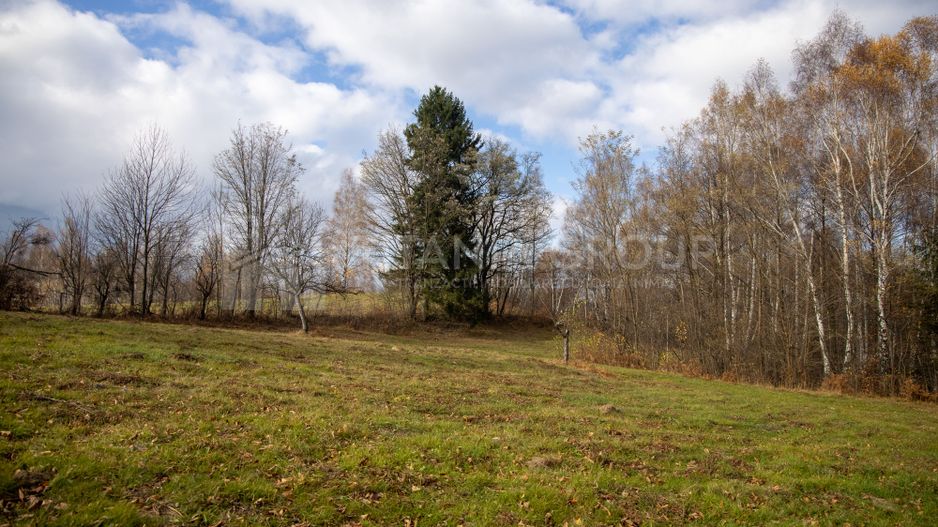 Teren intravilan, cu PUZ, Bran Tohanita,  SE ACCEPTĂ ȘI SCHIMB - Poză 3