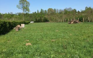 Teren de vanzare în reprezentare exclusivă, situat pe Valea Avrigului! - Poză 6