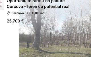 Oportunitate rară! 1 ha pădure Corcova – teren cu potențial real - Poză 1