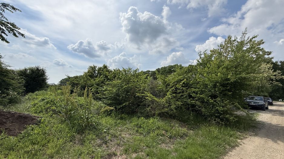 Teren intravilan 498,02 mp langa pădure , strada privata Corbeanca - Poză 5