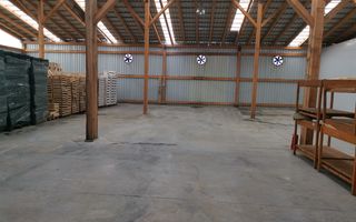 Ferma pomicola cu teren livada 270 ha - Timis - Poză 15