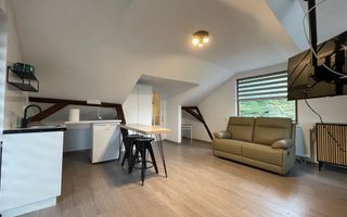 Studio modern, studenti UMF, parcare, curte privată, Gradina Botanica. - Poză 3