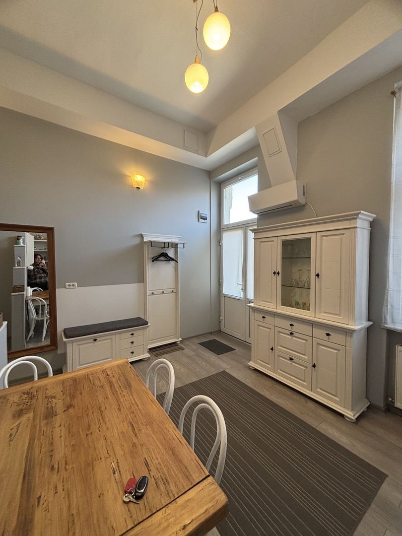 Apartament cu o camera în clădire istorică ,zona Maria - Poză 19