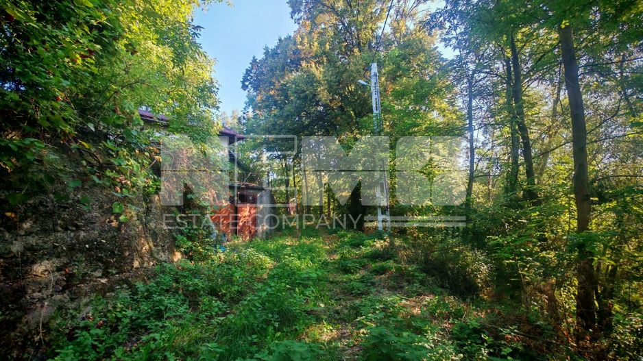 TEREN INTRAVILAN | FRATĂUȚII NOI | 1.1 HA - Poză 13