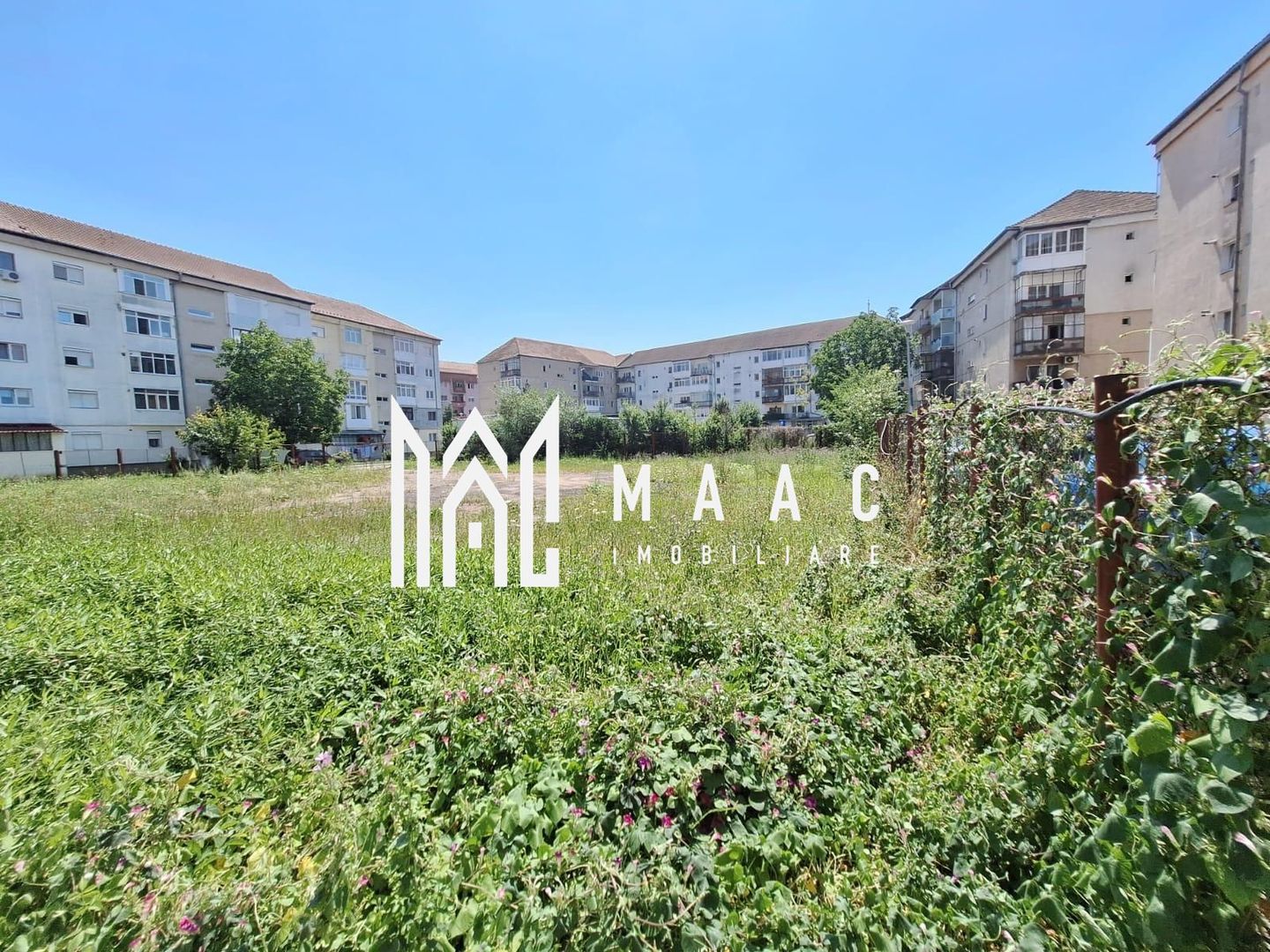 Spatiu comercial/birouri | Zona Centrala | Teren 700 mp - Poză 4