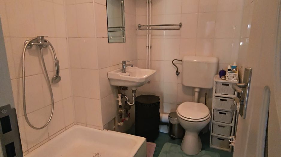 Ion Mihalache (1 Mai)- Domenii- Turda - Poză 10