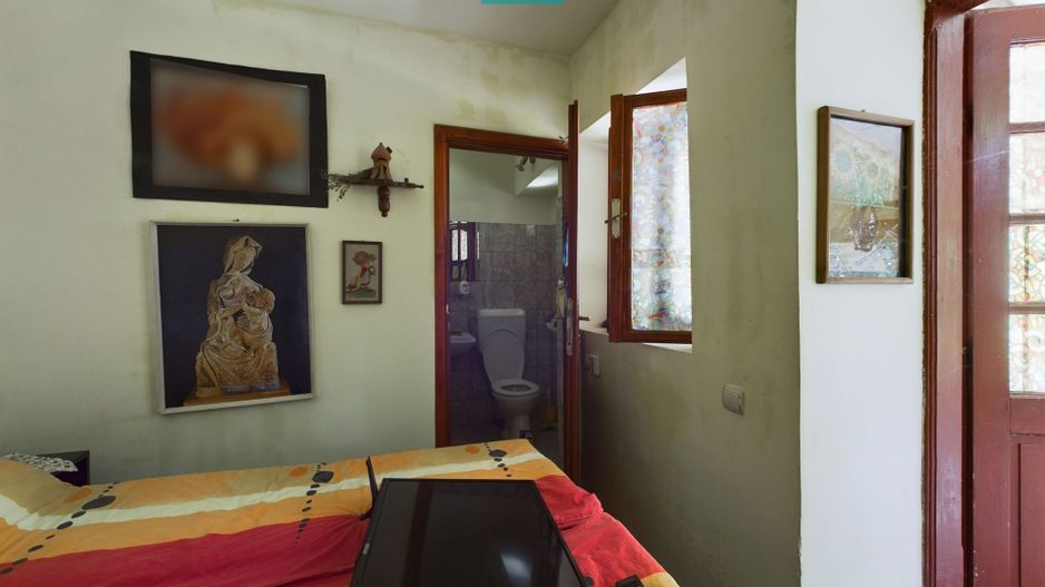 Casă cu livadă de pomi în Dorobanți - Poză 16