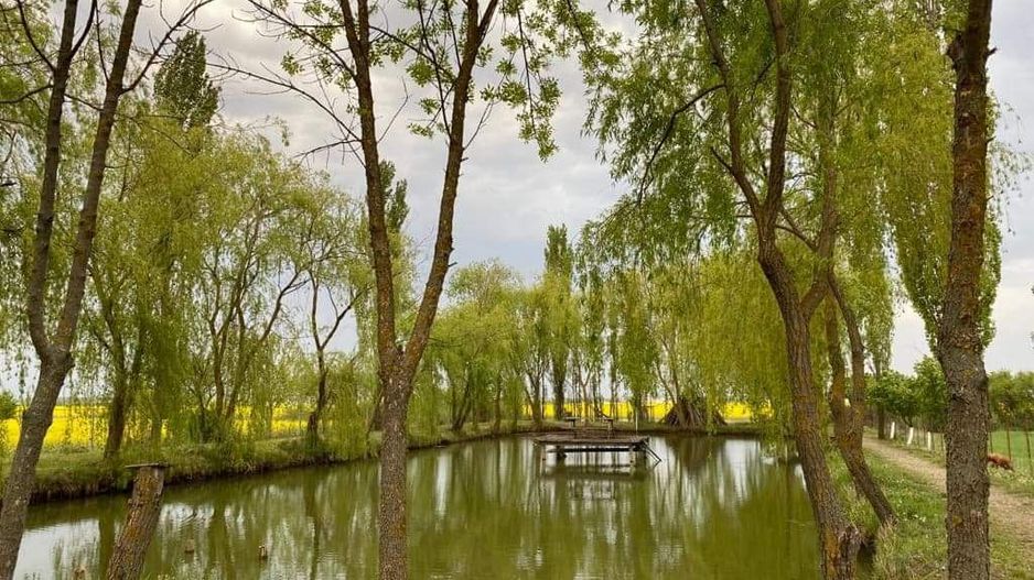 Vila individuala /proiect deosebit - Poză 16