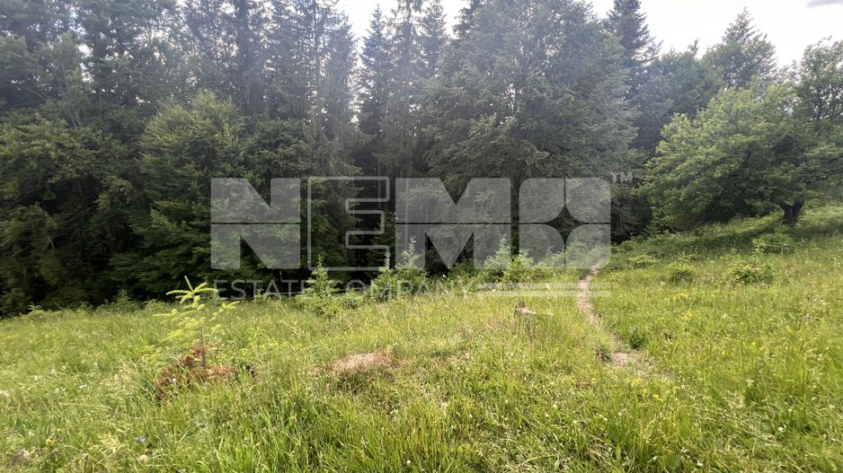 Teren Intravilan | Brodina de Jos | 16900 MP - Poză 8