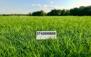 Teren intravilan de vanzare, Dezmir - Poză 2