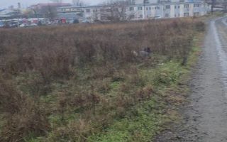 TEREN INTRAVILAN STR. ISACCEI - Poză 5