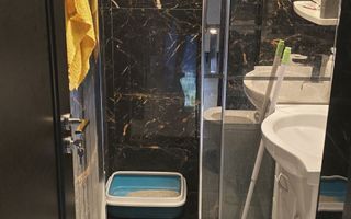 Apartament 3 camere decomandat, Alexandru cel Bun - Poză 2